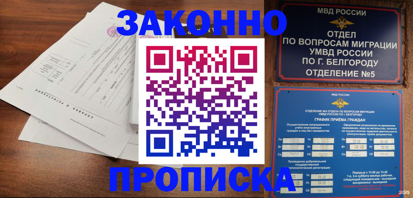 прописка в Ковдоре